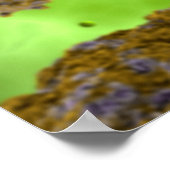 Poster Image Conceptuelle Du Coxsackievirus 2 (Coin)