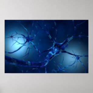 Poster Image conceptuelle du neurone 2