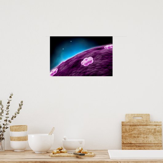 Poster Image Conceptuelle Du Noyau Cellulaire (Cuisine)