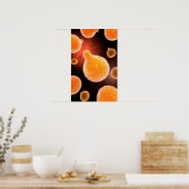 Poster Image Conceptuelle Du Plasmodium À L'Origine Du Pa (Cuisine)