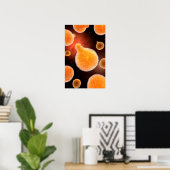 Poster Image Conceptuelle Du Plasmodium À L'Origine Du Pa (Bureau à domicile)