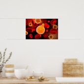 Poster Image Conceptuelle Du Plasmodium À L'Origine Du Pa (Cuisine)