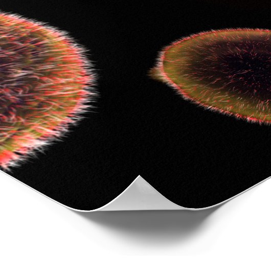 Poster Image Conceptuelle Du Plasmodium Provoquant Le Pal (Coin)