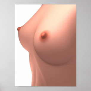 Poster Image Conceptuelle Du Sein Féminin