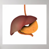 Poster Image Conceptuelle Du Système Digestif Humain 3 (Devant)