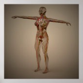 Poster Image Conceptuelle Du Système Nerveux Humain 2 (Devant)