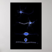 Poster Image Conceptuelle D'Un Neuron 1 (Devant)