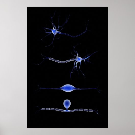 Poster Image Conceptuelle D'Un Neuron 1 (Devant)
