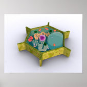 Poster Image Conceptuelle D'Une Cellule Plante (Devant)