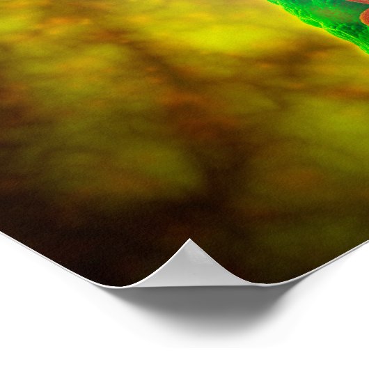 Poster Image Conceptuelle D'Une Telomère (Coin)