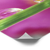 Poster Image d'asters formés dans des gouttelettes d'eau (Coin)