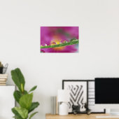 Poster Image d'asters formés dans des gouttelettes d'eau (Bureau à domicile)