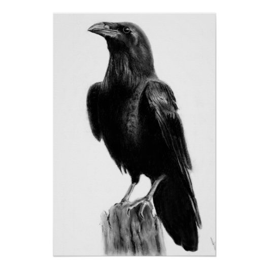 Poster Image de corbeau (Devant)