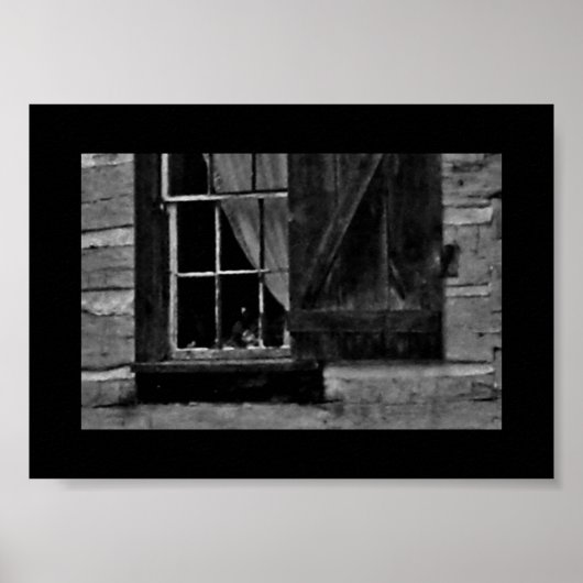 Poster Image de fenêtre curieuse (Devant)