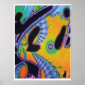 Poster Image de Fracking KC (Devant)