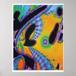 Poster Image de Fracking KC