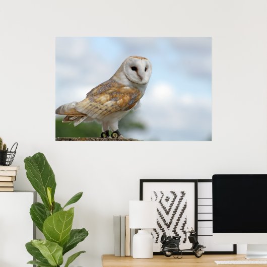 Poster image de hibou (Bureau à domicile)