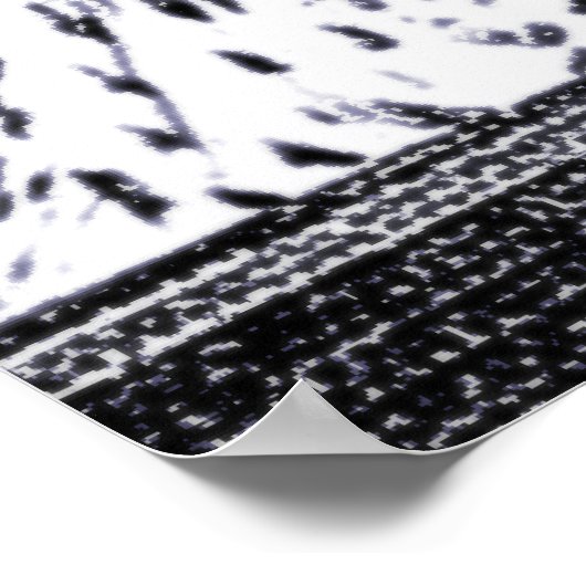 Poster Image de hibou (Coin)