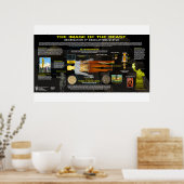 Poster Image de la bête (Cuisine)