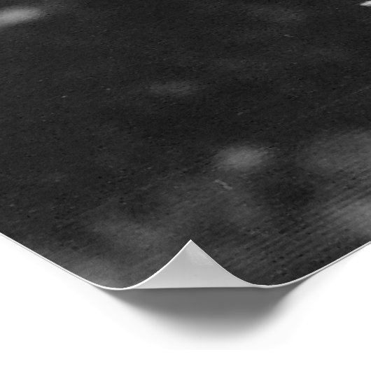 Poster Image de la Lily du jour orange (Coin)