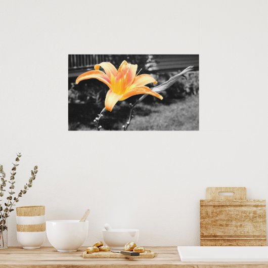 Poster Image de la Lily du jour orange (Cuisine)