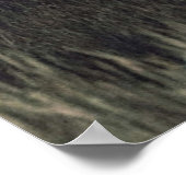 Poster Image de Night Movie (Coin)