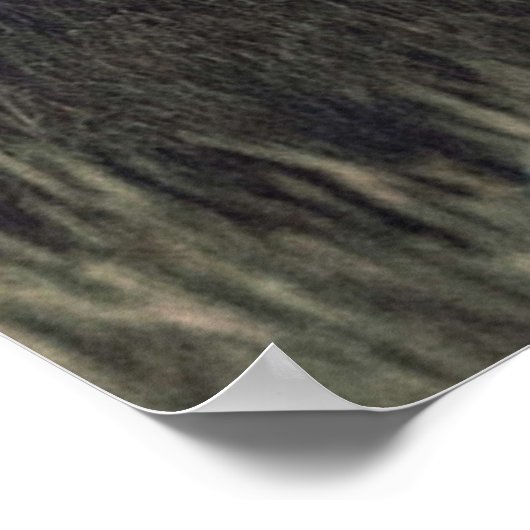 Poster Image de Night Movie (Coin)