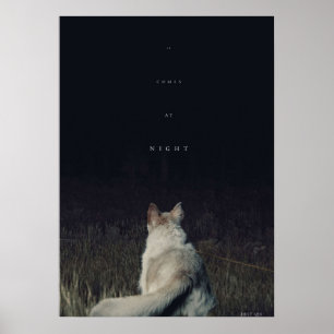 Poster Image de Night Movie