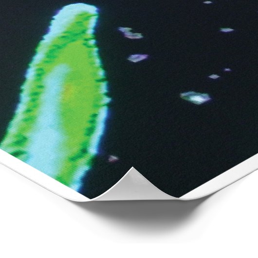 Poster Image de Punkin KC (Coin)