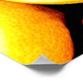 Poster Image des agrumes (Coin)