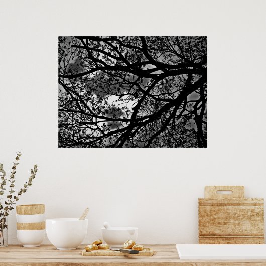 Poster Image des branches d'arbre (Cuisine)