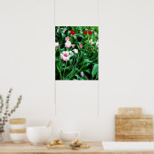 Poster Image des tulipes rouges et roses (Cuisine)