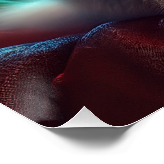 Poster Image D'Imaginaire D'Un Jeune Chat Albino (Coin)