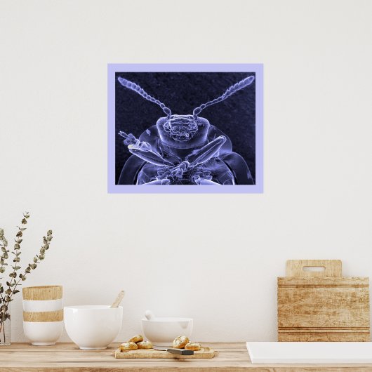 Poster Image du coléoptère à feuilles - Microscope électr (Cuisine)