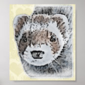 Poster Image du Ferret de l'able (Devant)