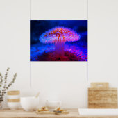 Poster Image d'un champignon rouge sur le mur du fond de  (Cuisine)