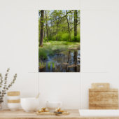 Poster Image d'un paysage forestier dans un marécage (Cuisine)