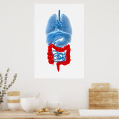 Poster Image En Rayon X D'Organes Internes Avec Gros (Cuisine)