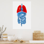 Poster Image En Rayon X D'Organes Internes Avec Poumons (Cuisine)