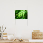 Poster Image Fermer (Cuisine)