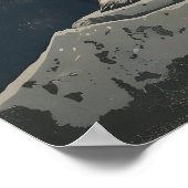 Poster image Illustration du renard arctique (Coin)