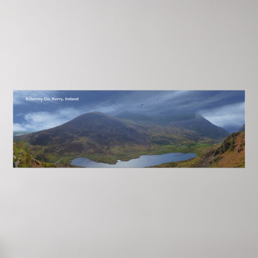Poster Image irlandaise de l'affiche (Devant)