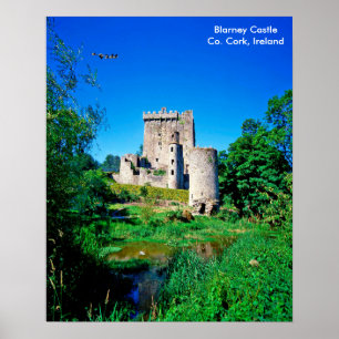 Poster Image irlandaise de l'affiche