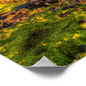 Poster Image irlandaise de l'affiche (Coin)