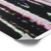 Poster Image KC fibre (Coin)