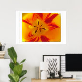 Poster Image macro de tulipe jaune et rouge (Bureau à domicile)