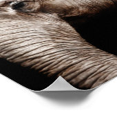 Poster Image photo d'éléphant (Coin)