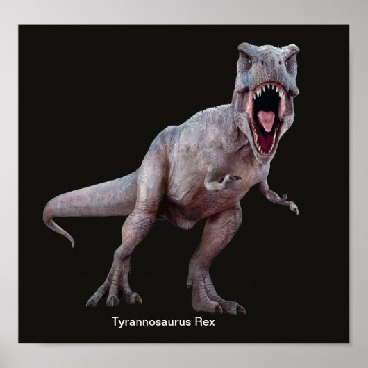 Poster Image T-Rex pour l'affiche (Devant)