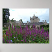 Poster Image violet (Devant)