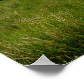 Poster Images de l'affiche Irlande (Coin)